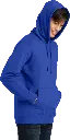 PC850H_trueroyal_model_hood_102016.webp